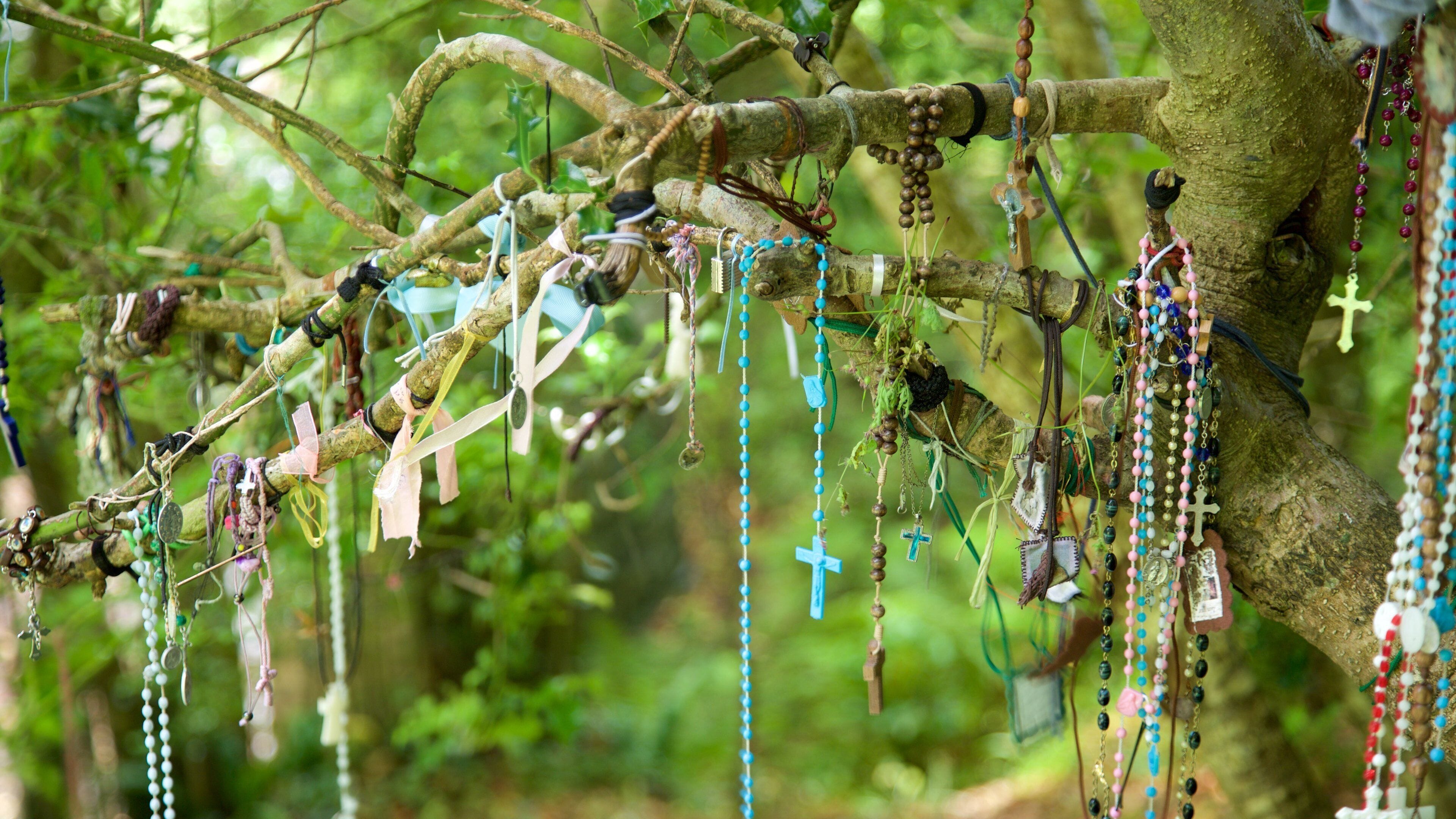 Tobernalt Holy Well featuring religious elements and heritage elements