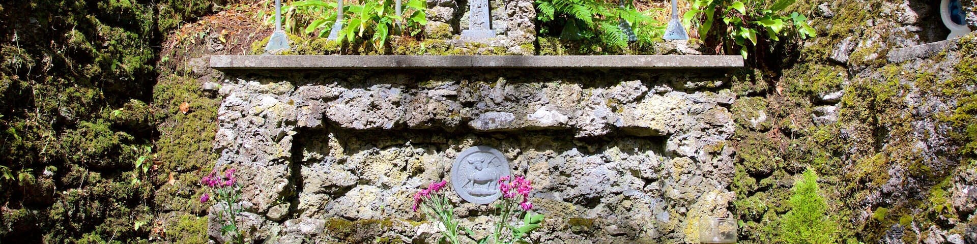 Tobernalt Holy Well featuring heritage elements, a cemetery and a park