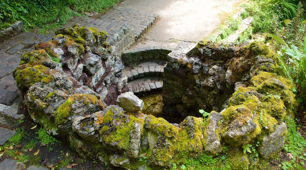 Tobernalt Holy Well mostrando elementos patrimoniales, una ruina y aspectos religiosos