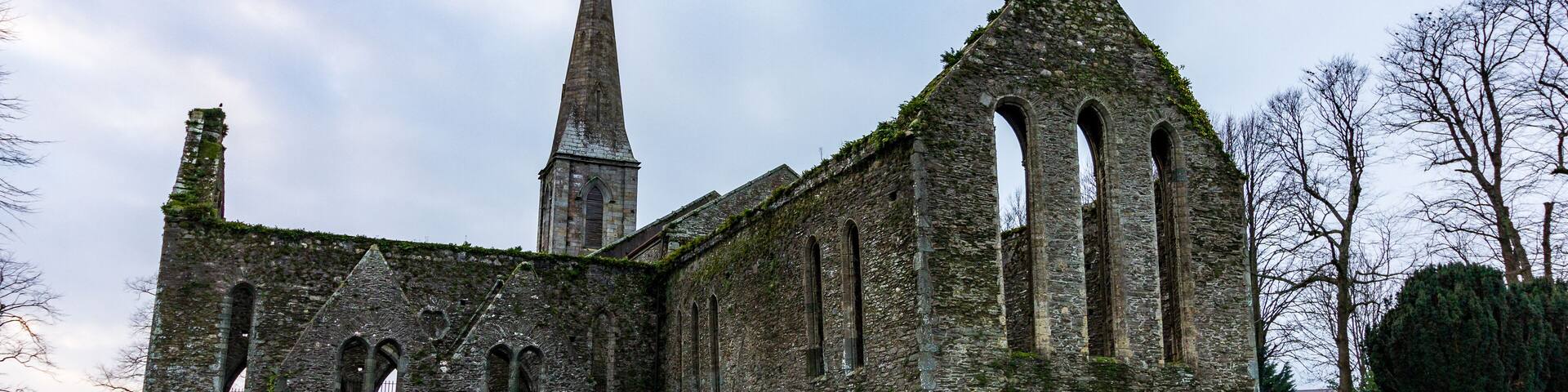 Saint Mary's Chuch in New Ross, Ireland