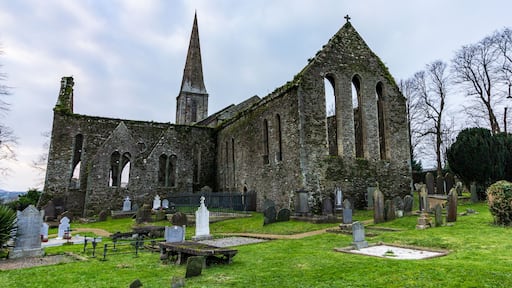 Saint Mary's Chuch in New Ross, Ireland