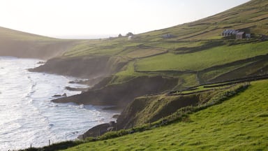 Dunmore Head showing tranquil scenes, general coastal views and landscape views