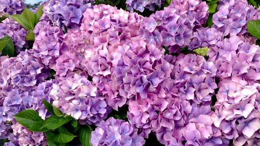 Waiting for the boat to Skellig Michael.