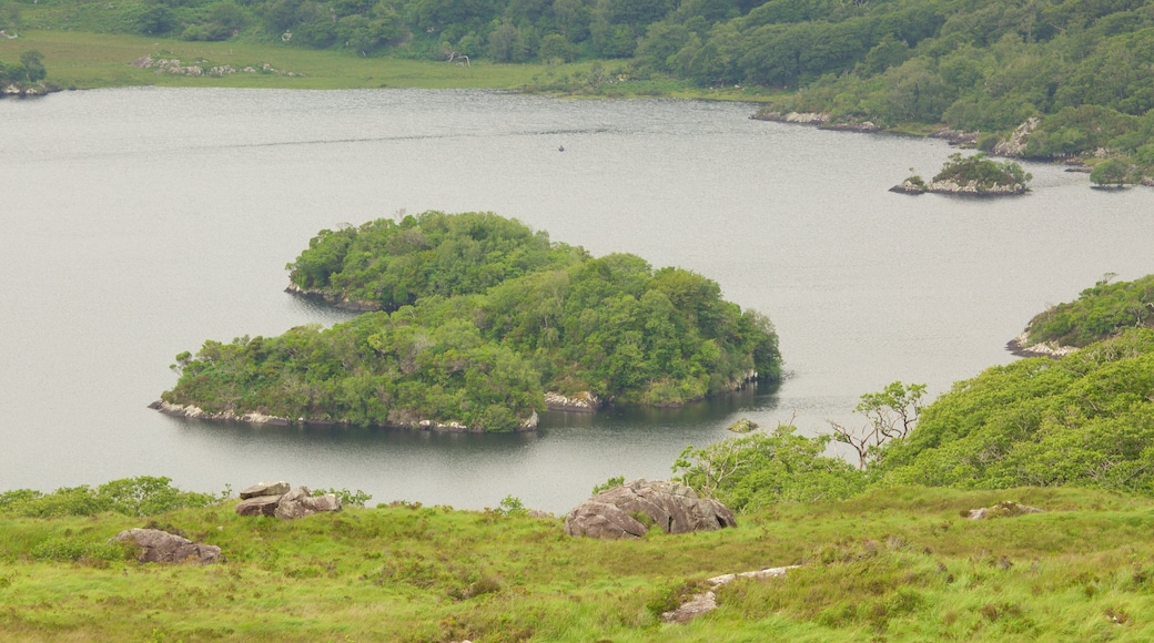Ladies View caratteristiche di lago o sorgente d\'acqua e paesaggi rilassanti