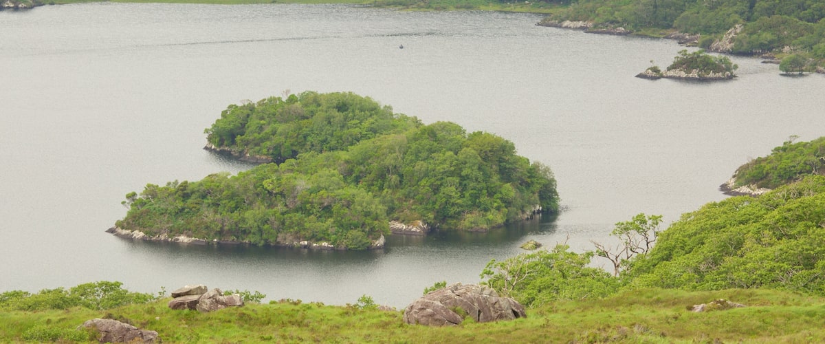 Ladies View showing tranquil scenes and a lake or waterhole