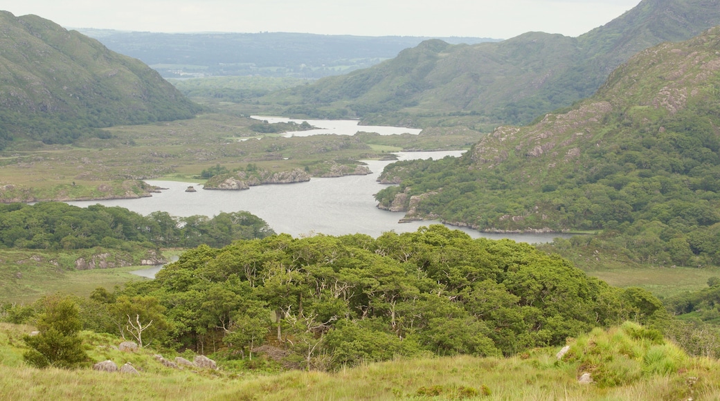 Ladies View che include paesaggi rilassanti, lago o sorgente d\'acqua e vista del paesaggio