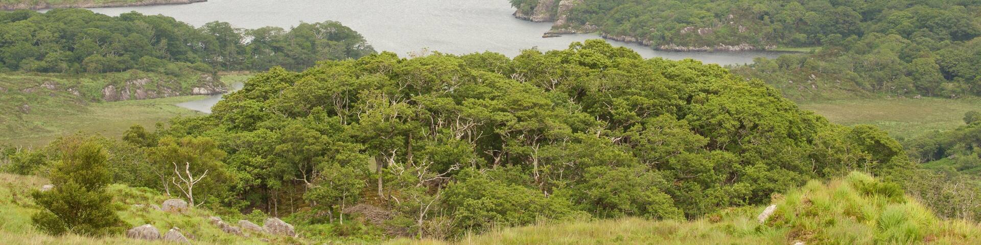 Ladies View featuring landscape views, tranquil scenes and a lake or waterhole