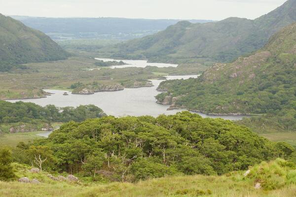 Ladies View welches beinhaltet ruhige Szenerie, Landschaften und See oder Wasserstelle