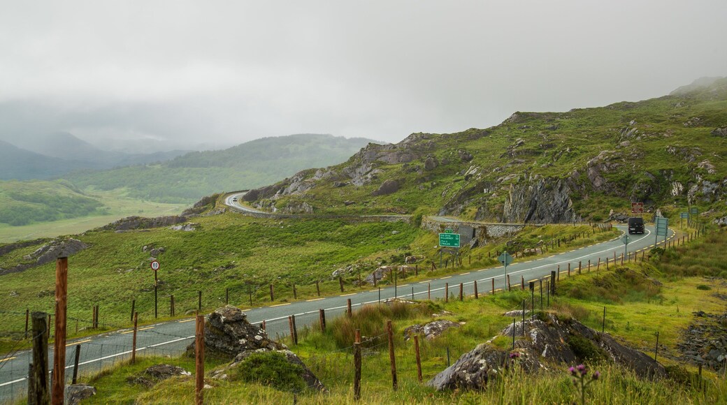 Moll\'s Gap featuring tranquil scenes and mist or fog