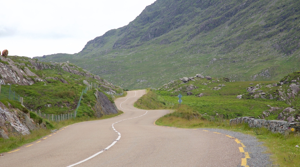 Moll\'s Gap featuring tranquil scenes