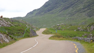 Moll\'s Gap showing tranquil scenes