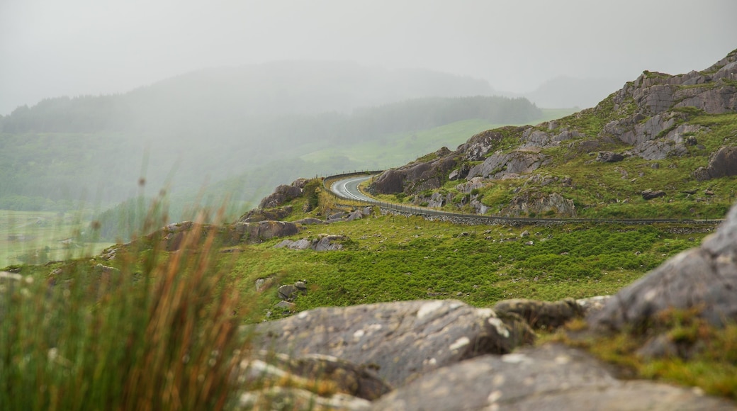 Moll\'s Gap featuring tranquil scenes and mist or fog