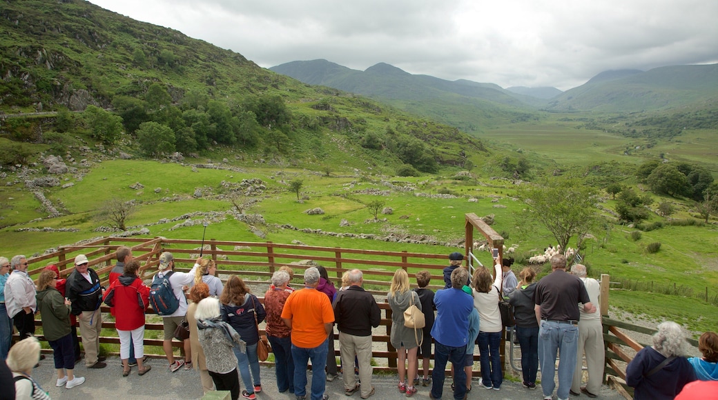 Moll\'s Gap showing landscape views, tranquil scenes and views