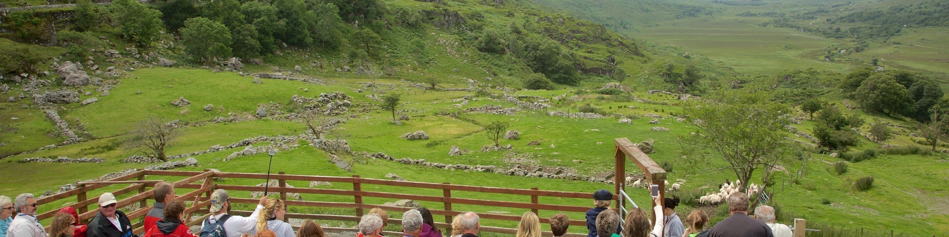 Moll\'s Gap showing tranquil scenes, landscape views and views