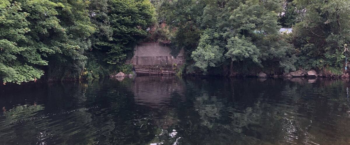A calm river with dense green foliage on both sides.