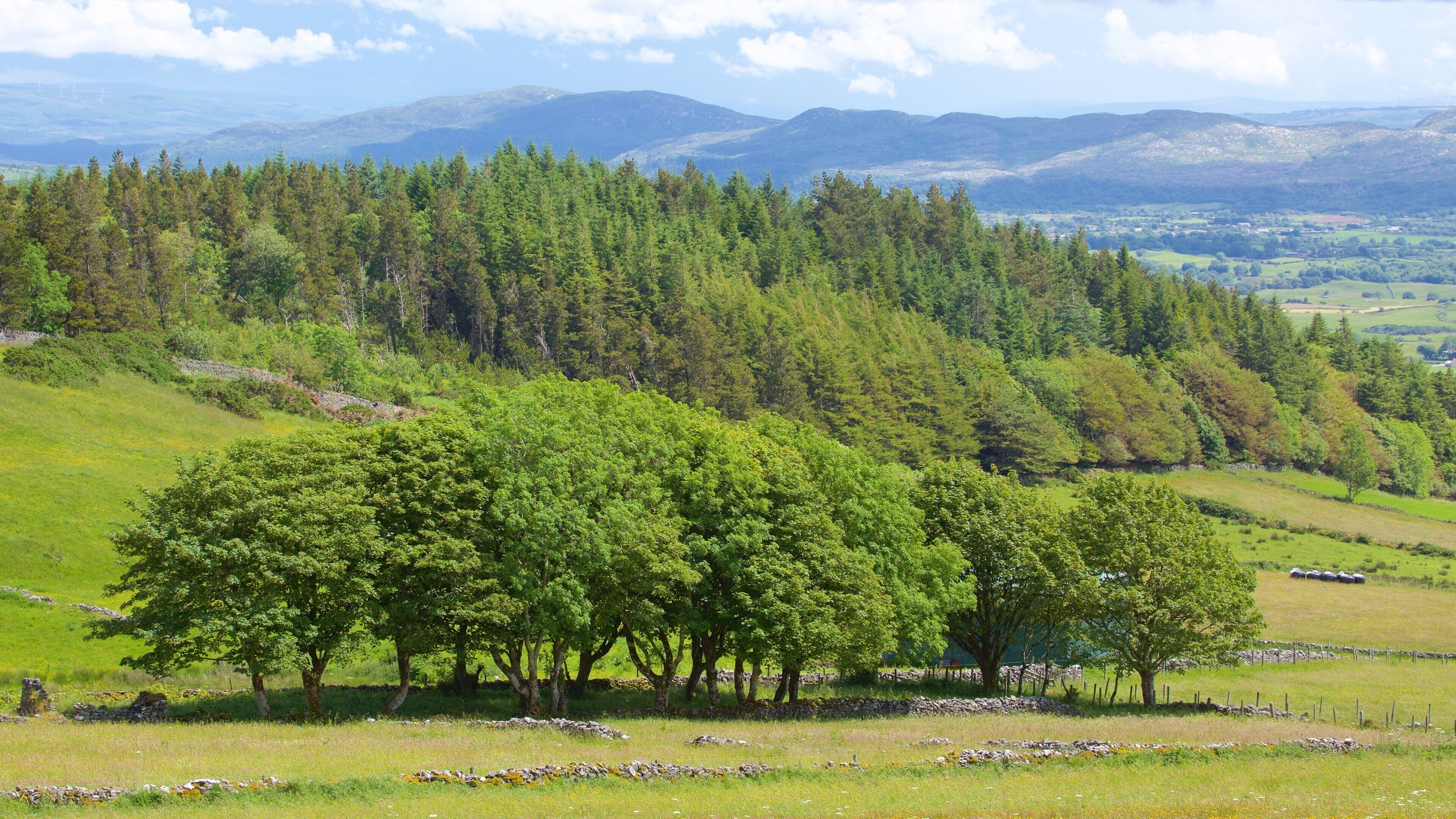 Knocknarea which includes tranquil scenes