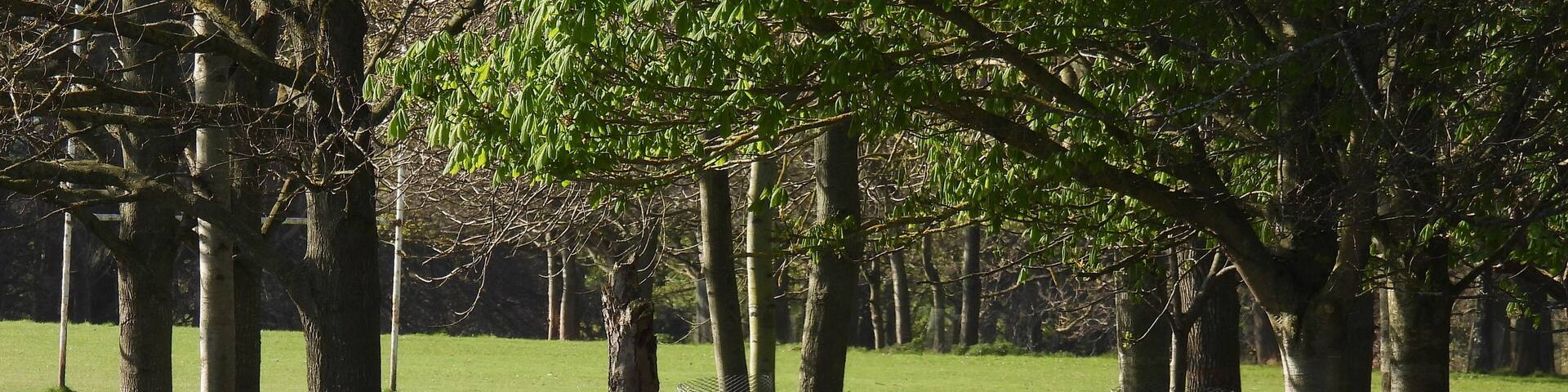 Emerald Isle Ireland