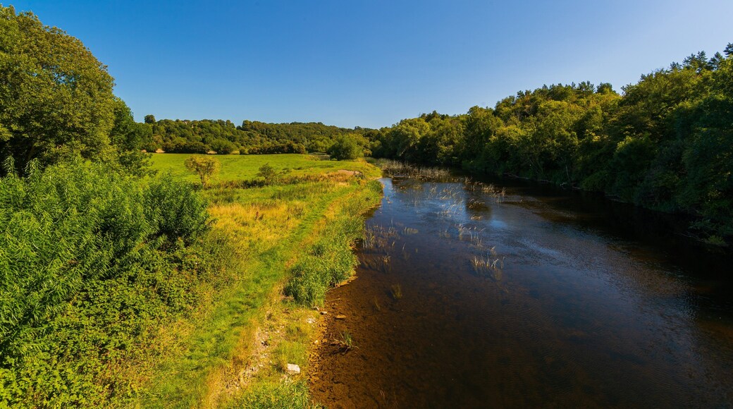 Bru na Boinne Visitor Centre showing tranquil scenes and a river or creek