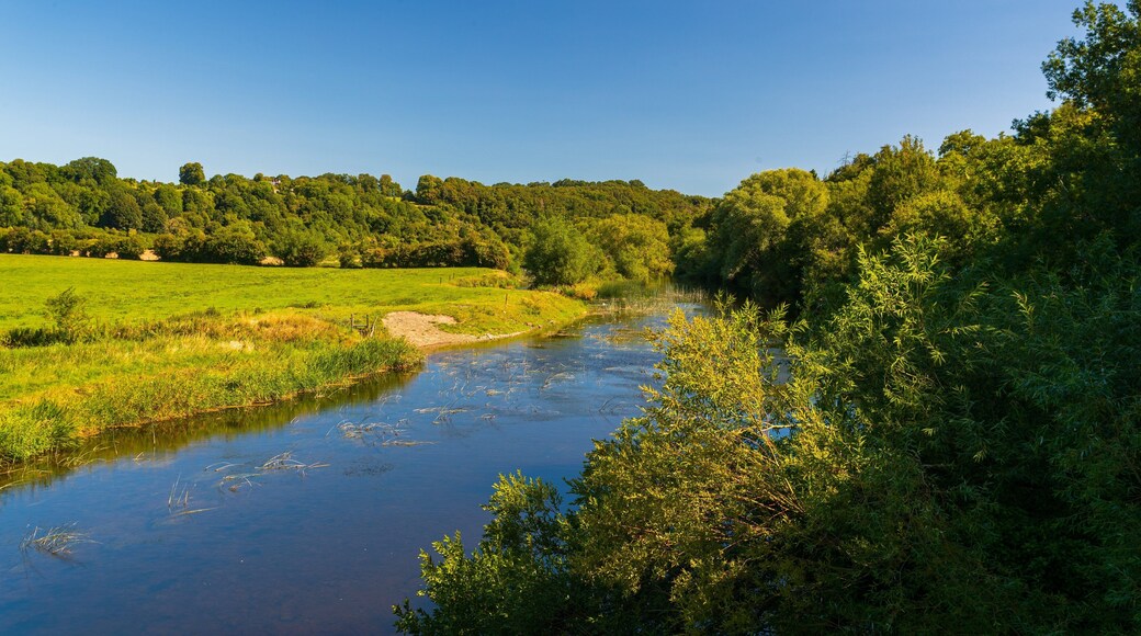 Bru na Boinne Visitor Centre showing tranquil scenes and a river or creek