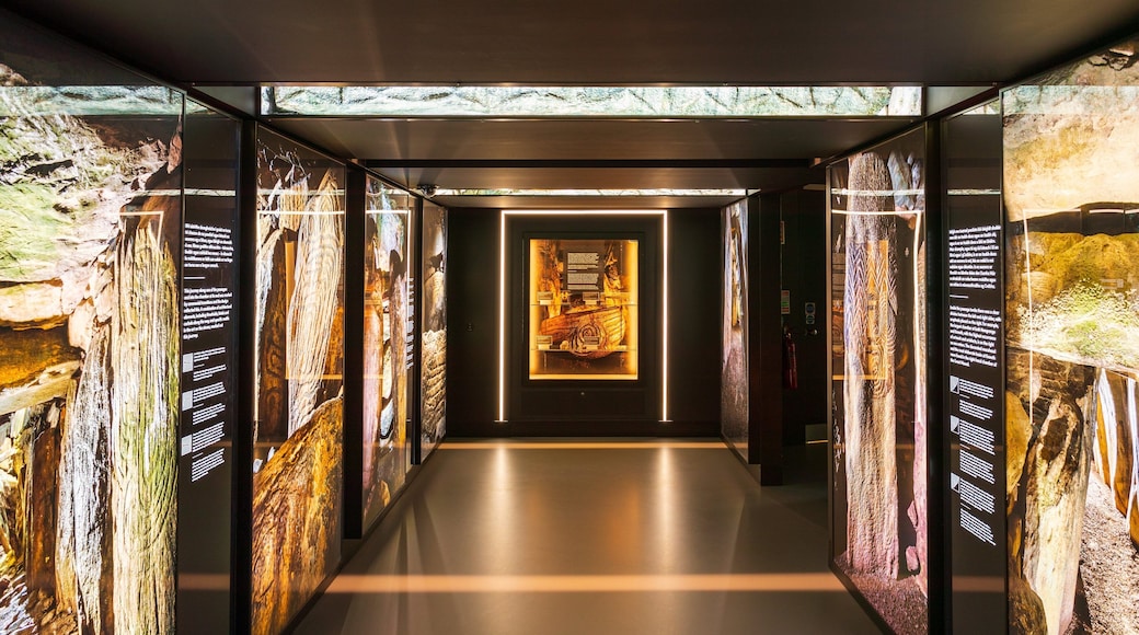 Bru na Boinne Visitor Centre which includes interior views
