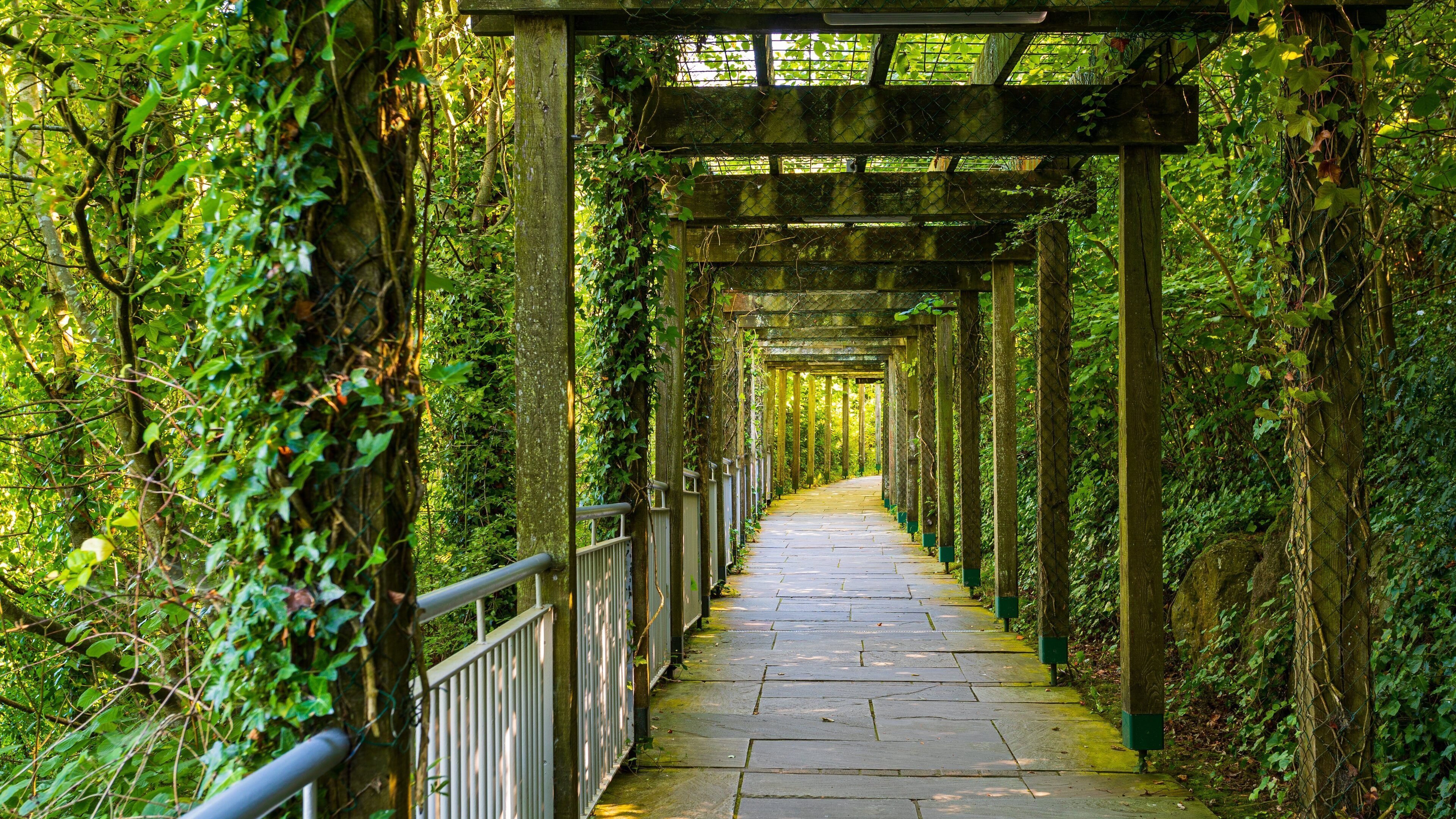 Bru na Boinne Visitor Centre showing a garden