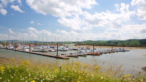 Fahan que incluye una bahía o un puerto, flores salvajes y embarcaciones