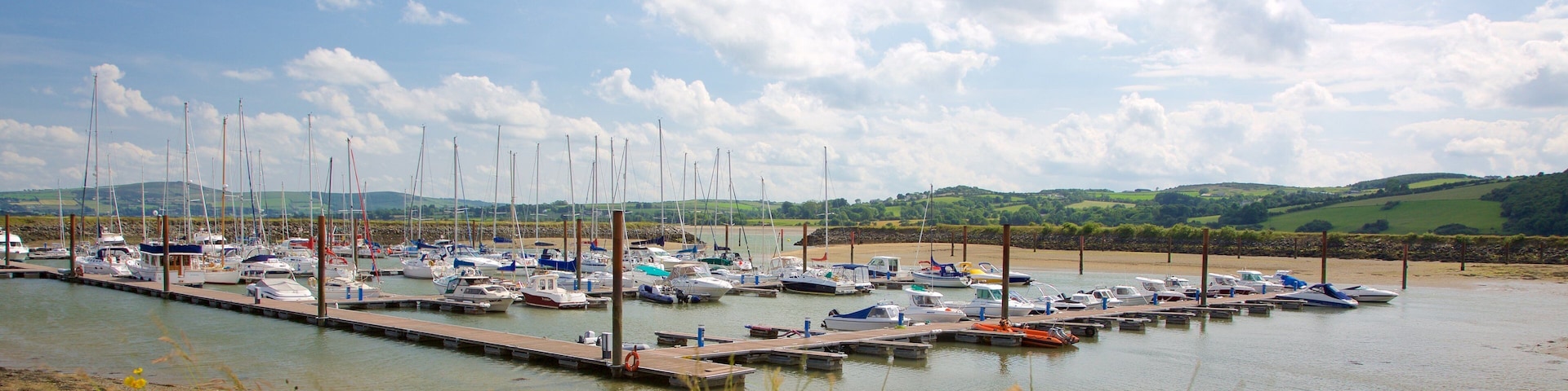 Fahan mostrando canoagem, flores silvestres e uma baía ou porto