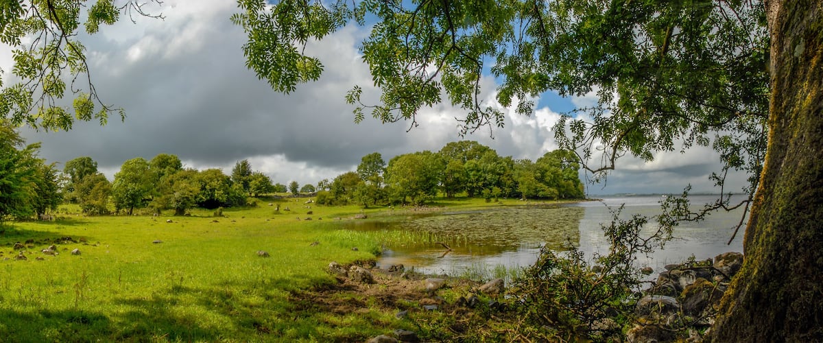 A lush green landscape with a pond, trees, and a rocky shoreline.