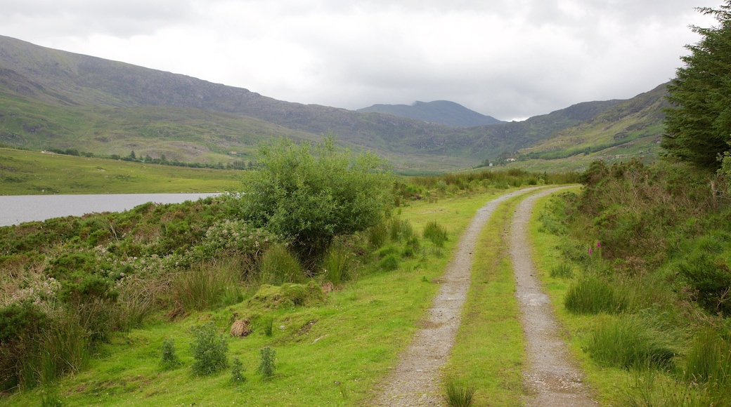 Glencar which includes a river or creek, tranquil scenes and landscape views