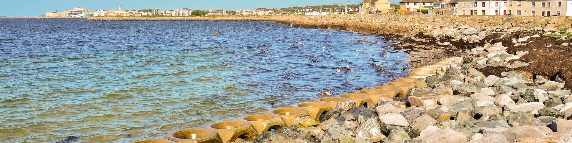 A rocky shoreline with a clear blue sky and buildings in the background.