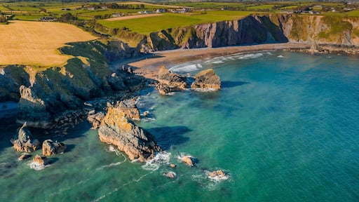 Ballydowane Beach Waterford coast line waves Ireland aerial amazing scenery view