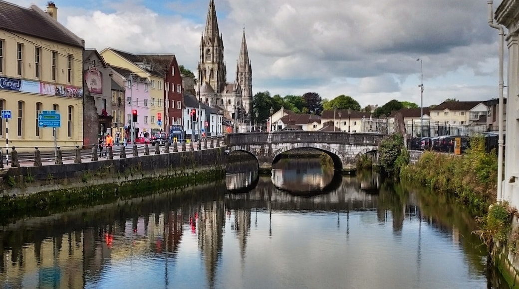 Beautiful river through the centre of Cork