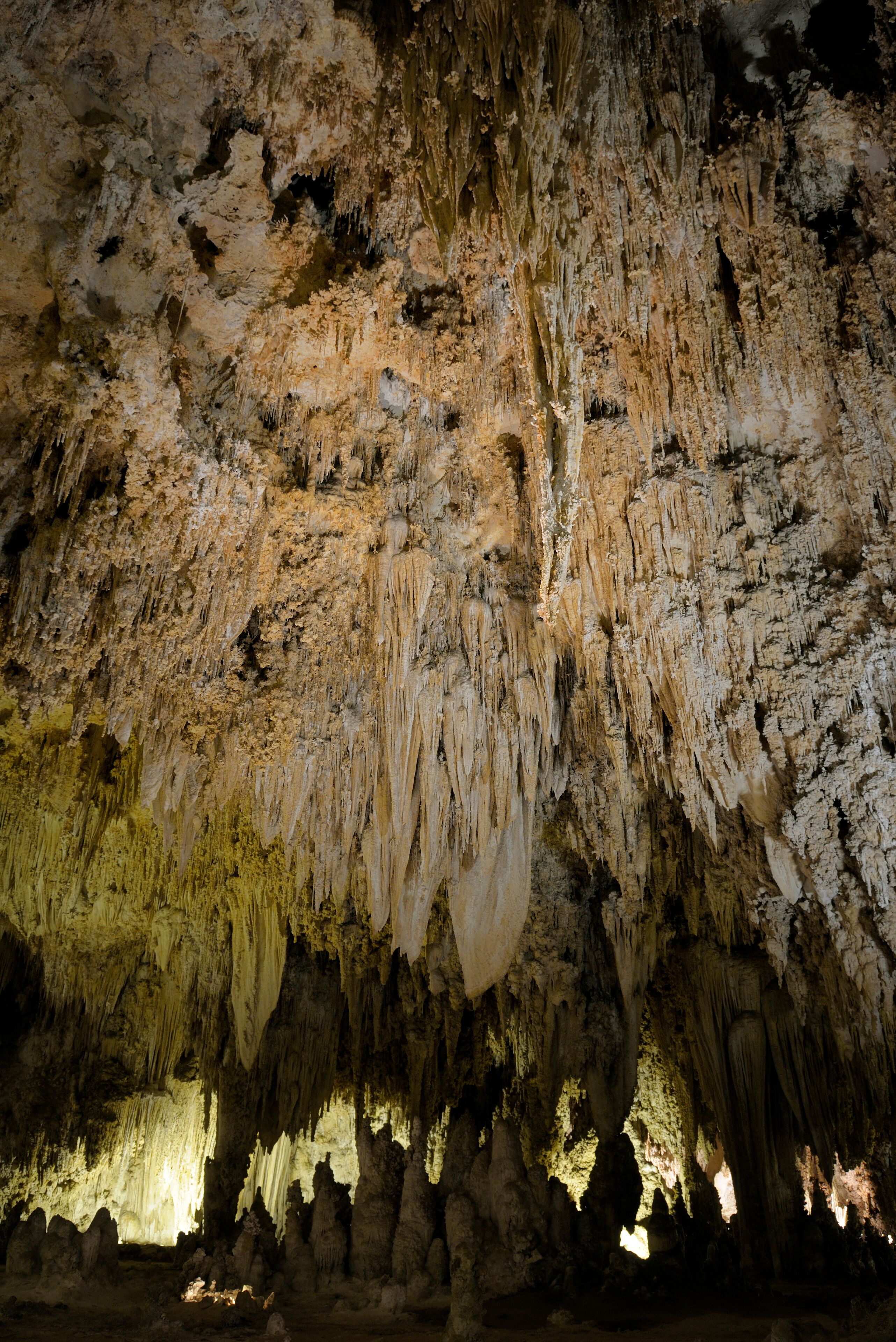 USA, New Mexico, Eddy County, Carlsbad Caverns National Park. Stalactites and stalagmites