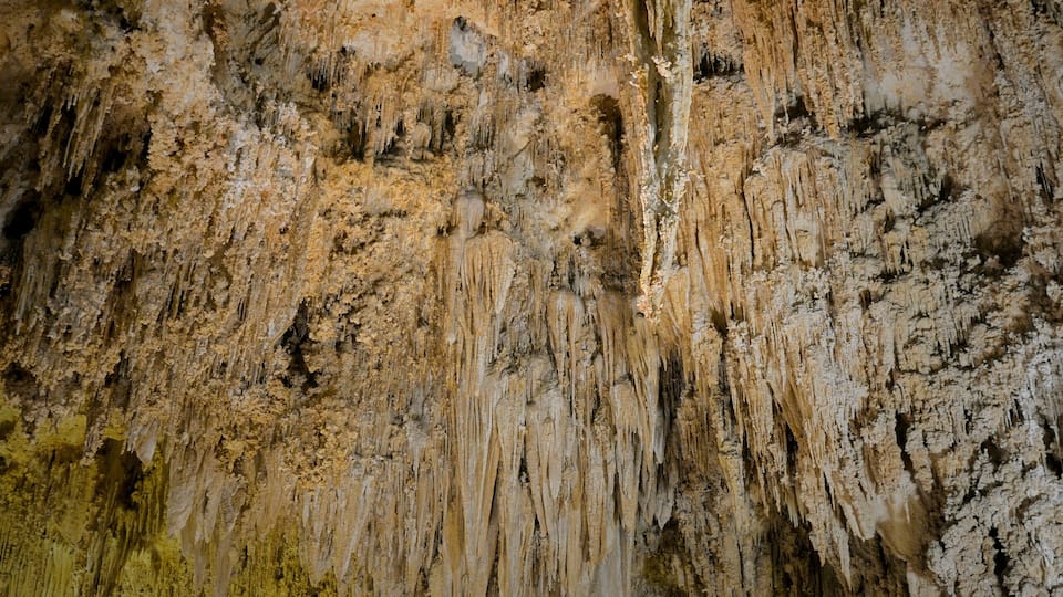 USA, New Mexico, Eddy County, Carlsbad Caverns National Park. Stalactites and stalagmites