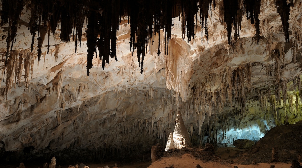 A cave with stalactites and a central column.