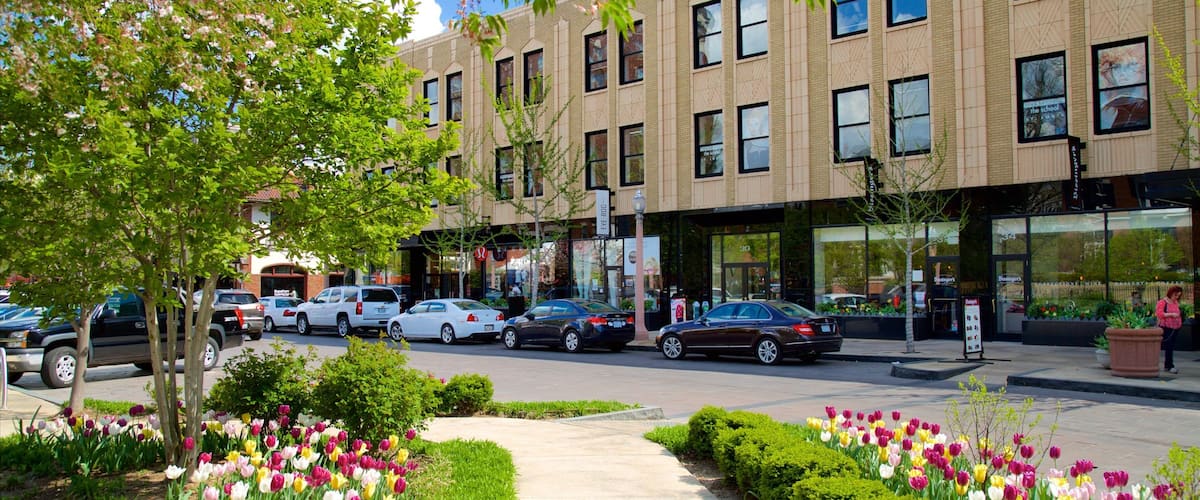 Central West End