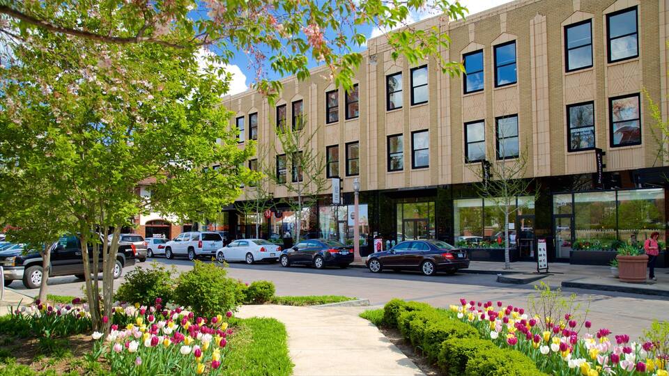 Central West End showing a park and wildflowers