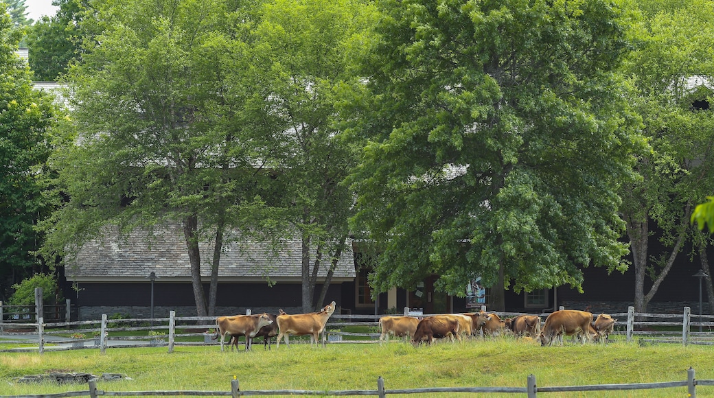 Billings Farm and Museum