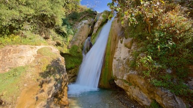 ديهرادان