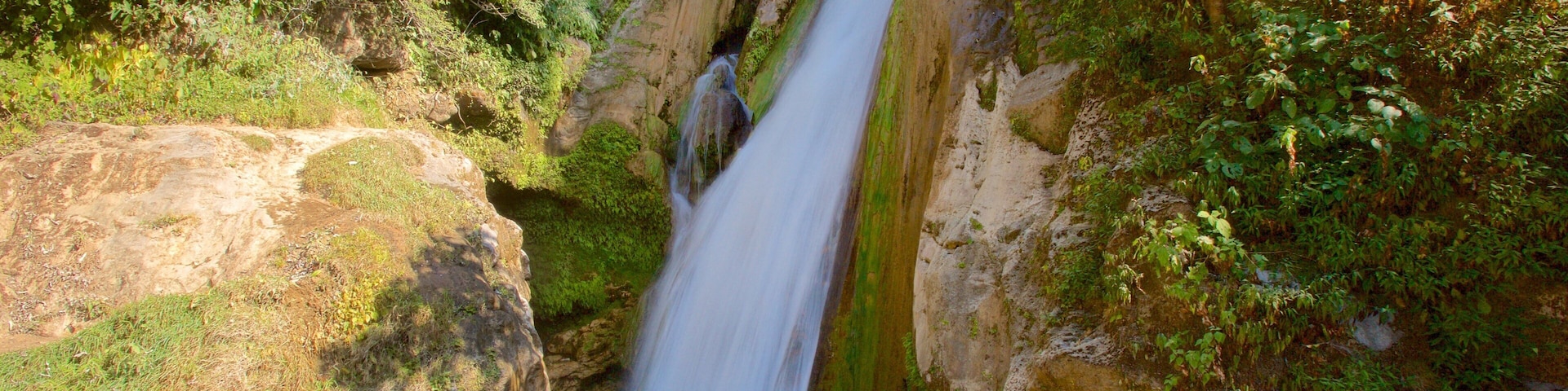 Bhata Falls showing a cascade and tranquil scenes