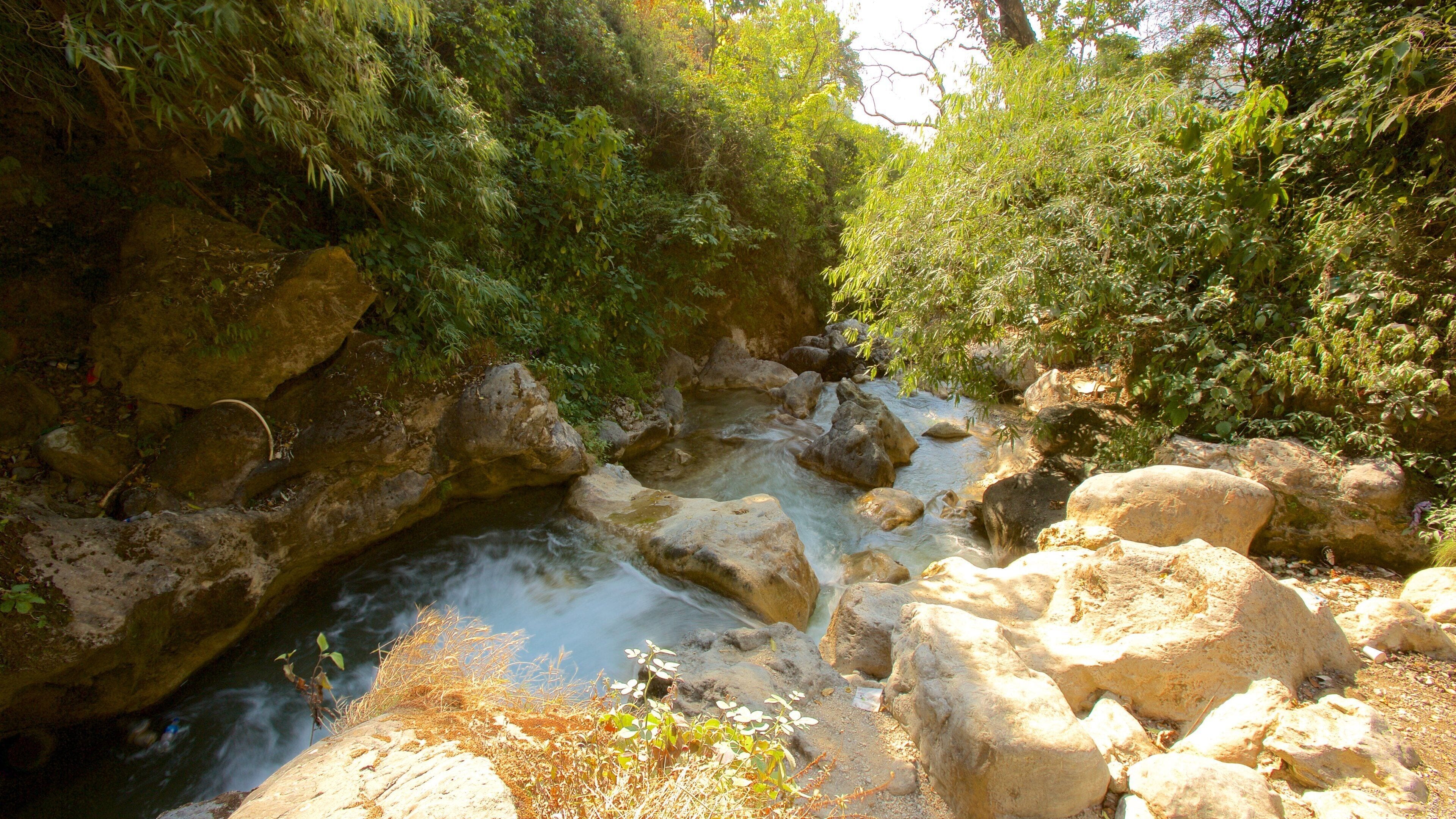 Bhata Falls showing a river or creek