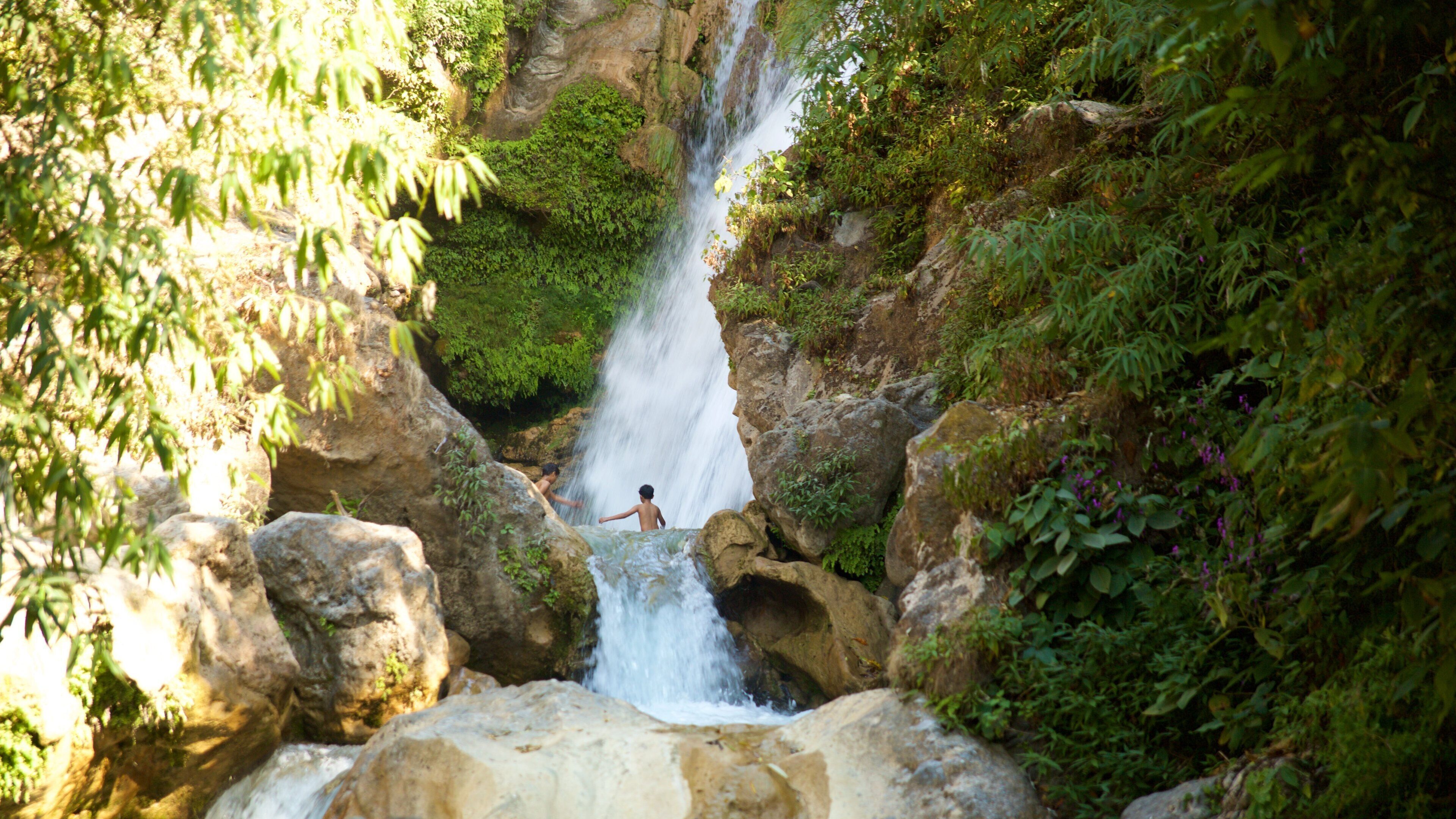 Cataratas de Bhata que incluye un río o arroyo y una catarata