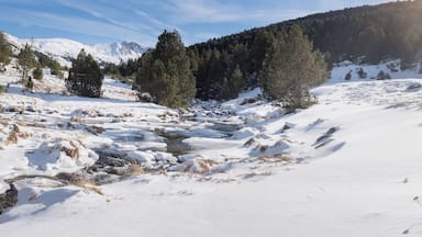 Beautiful path in the first autumn snow in Bordes de Envalira, Canillo, Andorra.