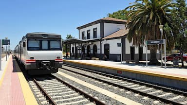 Um trem em uma estação com um edifício identificado como "DON BENITO" e palmeiras.