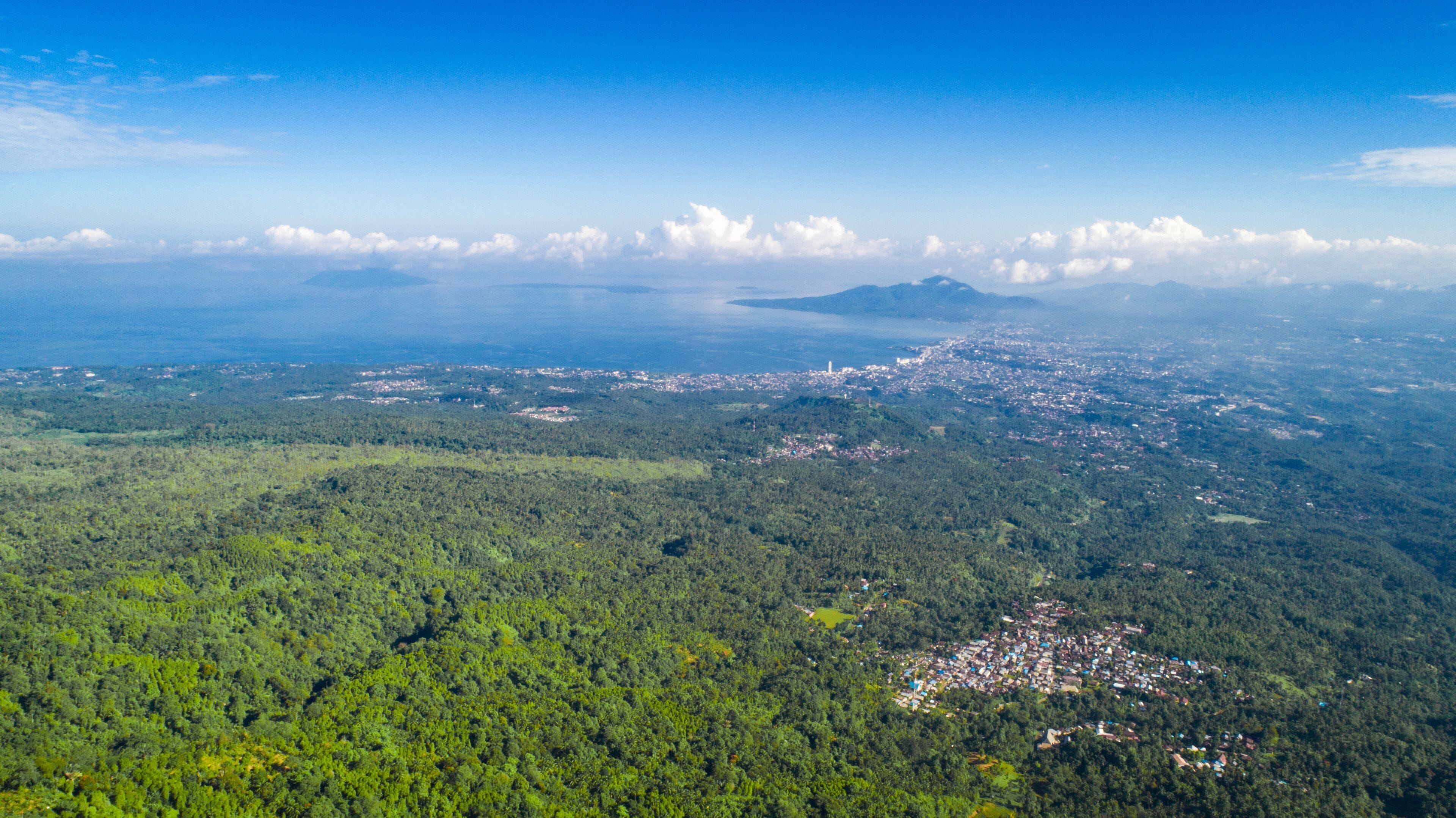 A dense forest with a small town and a large body of water in the distance.