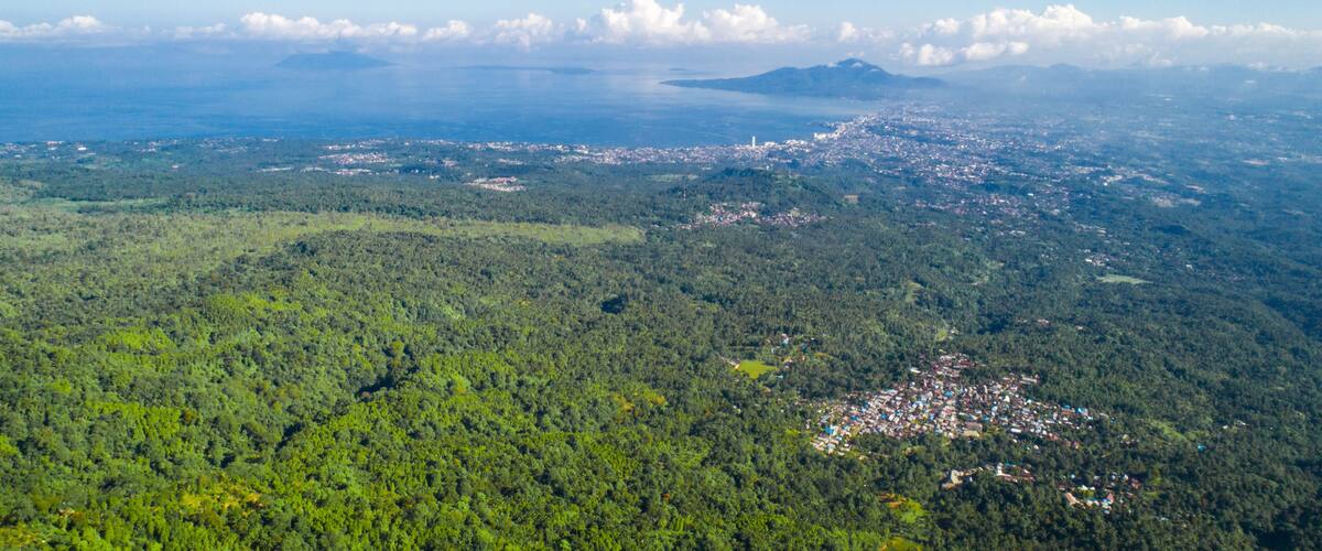 A dense forest with a small town and a large body of water in the distance.