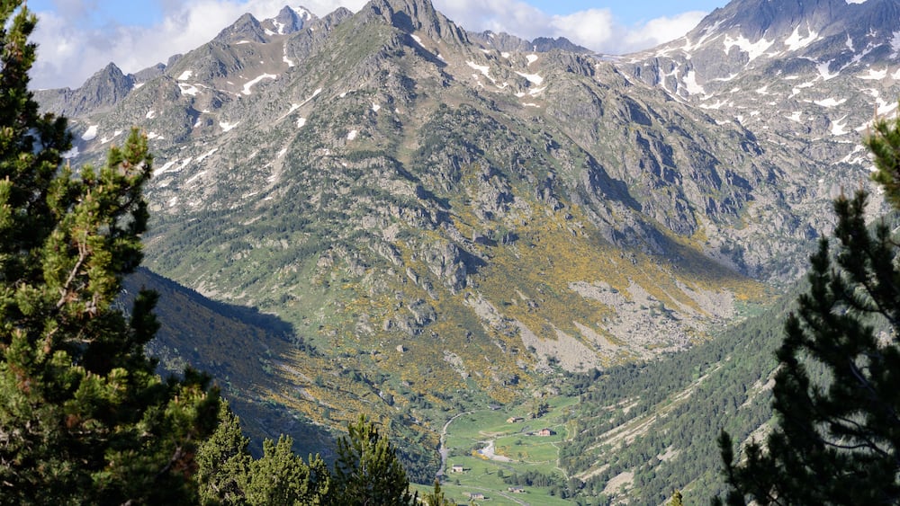 Shepherd dog caring sheep flock in El Tarter, Canillo, Andorra.