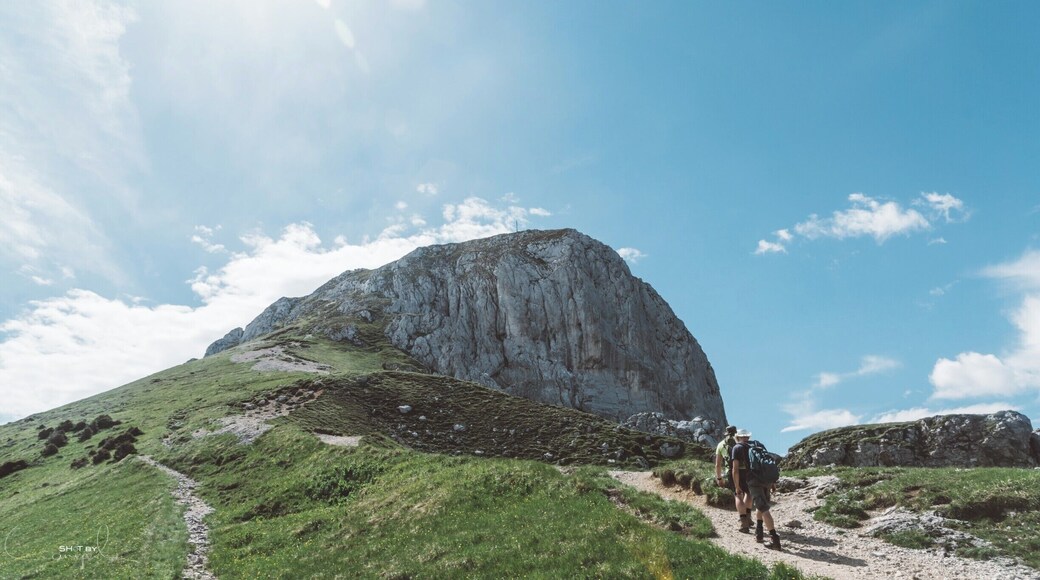 Almost at the top of the Sauling in Austria. Great and exciting climb/hike in the alps. The Saulingspitze is at 2048m at the border of Austria and Germany. It takes a 3h hike to reach the top. #austria #hiking #climbing #travel #active