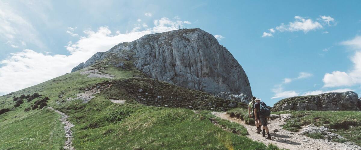 A mountain with a rocky peak and a grassy trail.