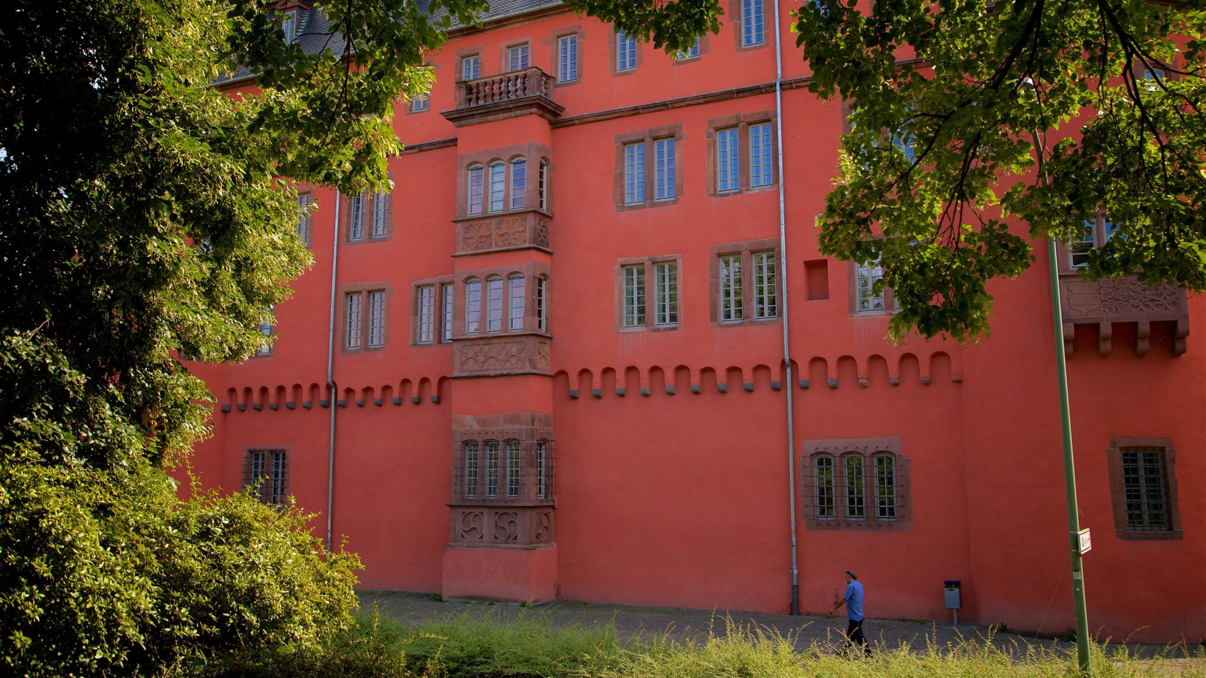 Buesing Palais which includes heritage elements